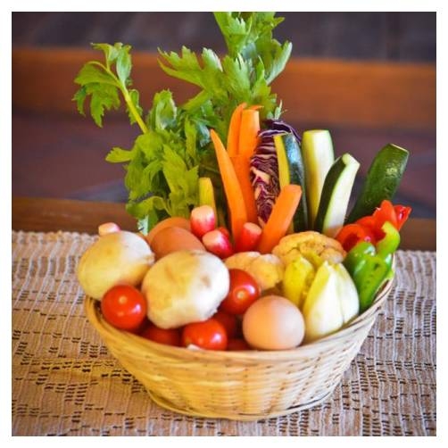 Le restaurant - La Bergerie - Restaurant Caille - restaurant sympa CAILLE